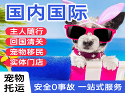 贵阳航空快运国际宠物托运 【国